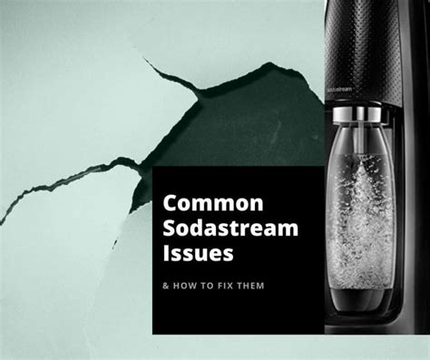 6 Common SodaStream Issues and How to Fix & Repair